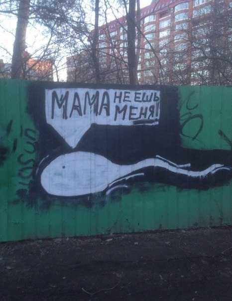 image-37.jpg