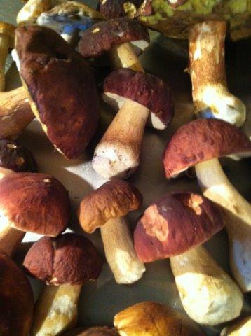 014_2013-09-25.jpg