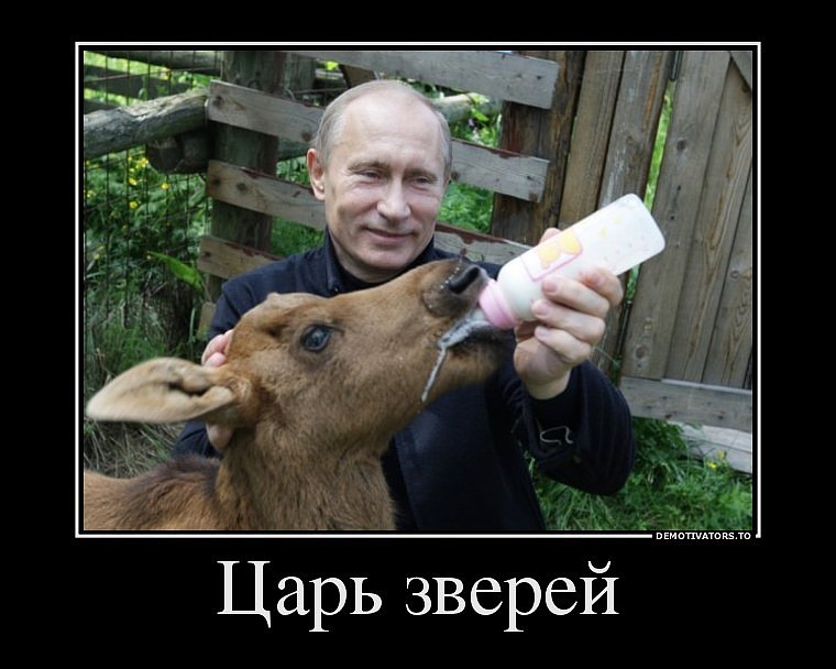 __2013-01-15.jpg