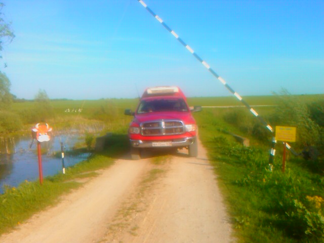 IMAG0124.jpg