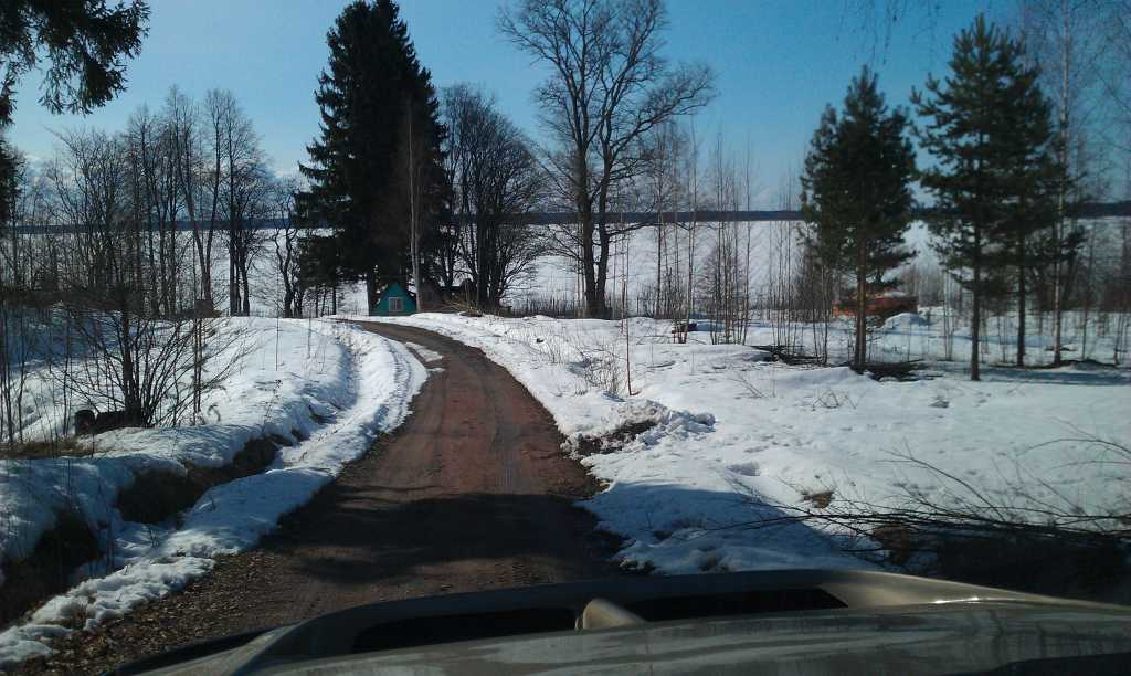 IMAG0244.jpg