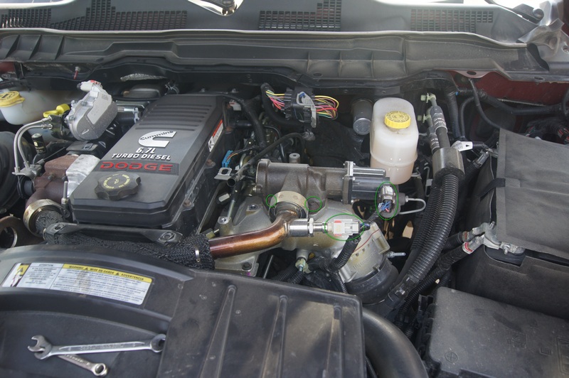 DSC01921-1.jpg
