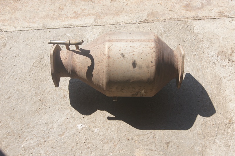 DSC01942-1.jpg