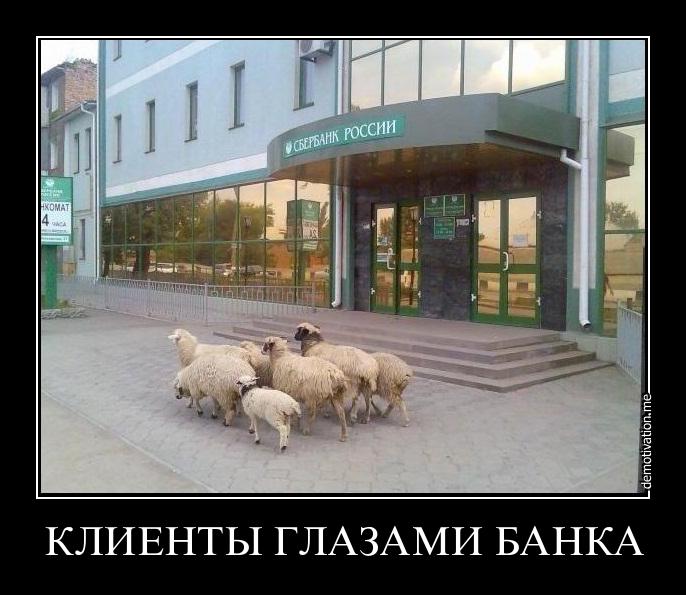blogpost.jpeg